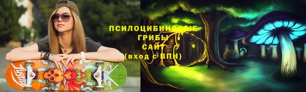 тгк Алексеевка