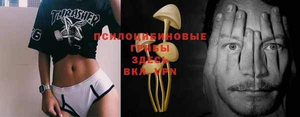 тгк Алексеевка