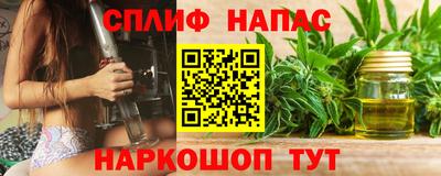 гидра Кизилюрт