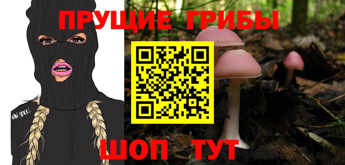 Галлюциногенные грибы MAGIC MUSHROOMS  Галлюциногенные грибы мицелий  Махачкала  Вход с VPN 